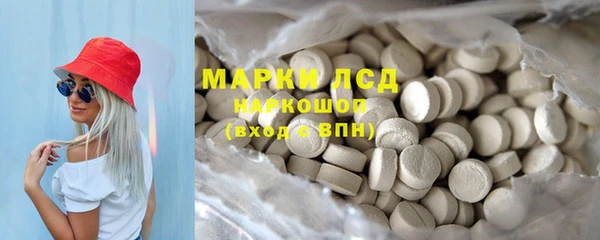 сатива Магас