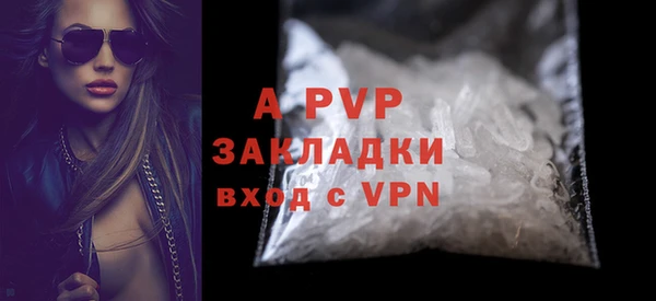 сатива Магас