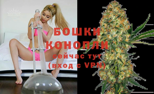 амф Майский