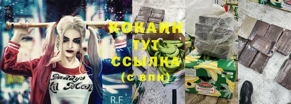 сатива Магас