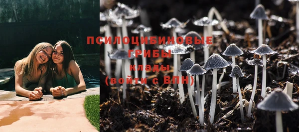 амф Майский