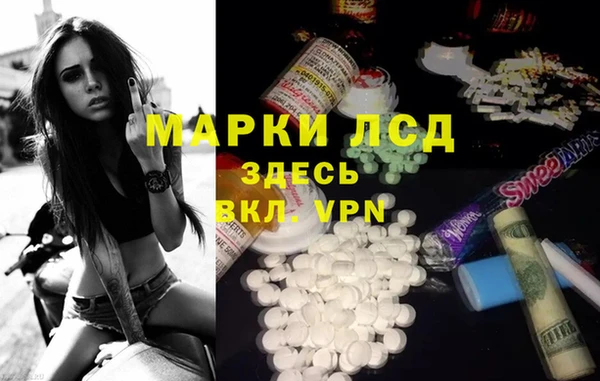 сатива Магас