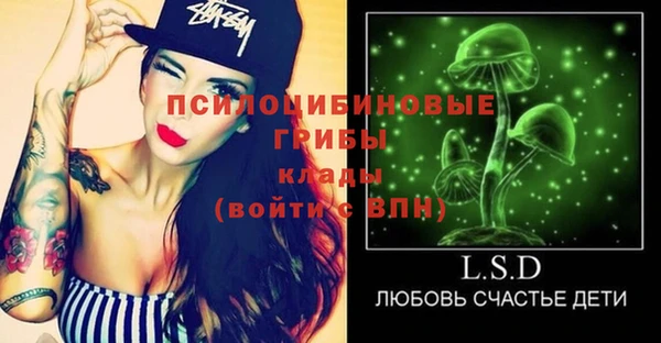 сатива Магас