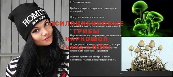 сатива Магас