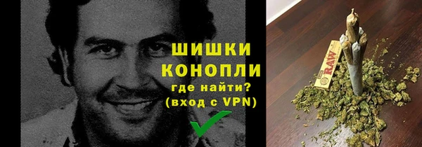 сатива Магас