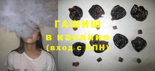 сатива Магас
