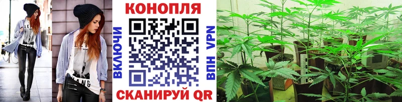 mega как зайти  Пойковский  Каннабис марихуана  сколько стоит 